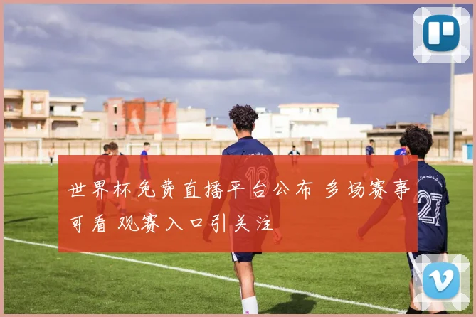 世界杯免费直播平台公布 多场赛事可看 观赛入口引关注